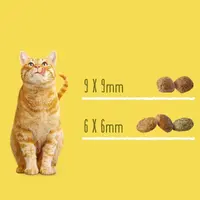 Friskies Sterile сухий корм для стерилізованих котів 10 кг - з лососем та овочами (7613033205064)  - фото 1