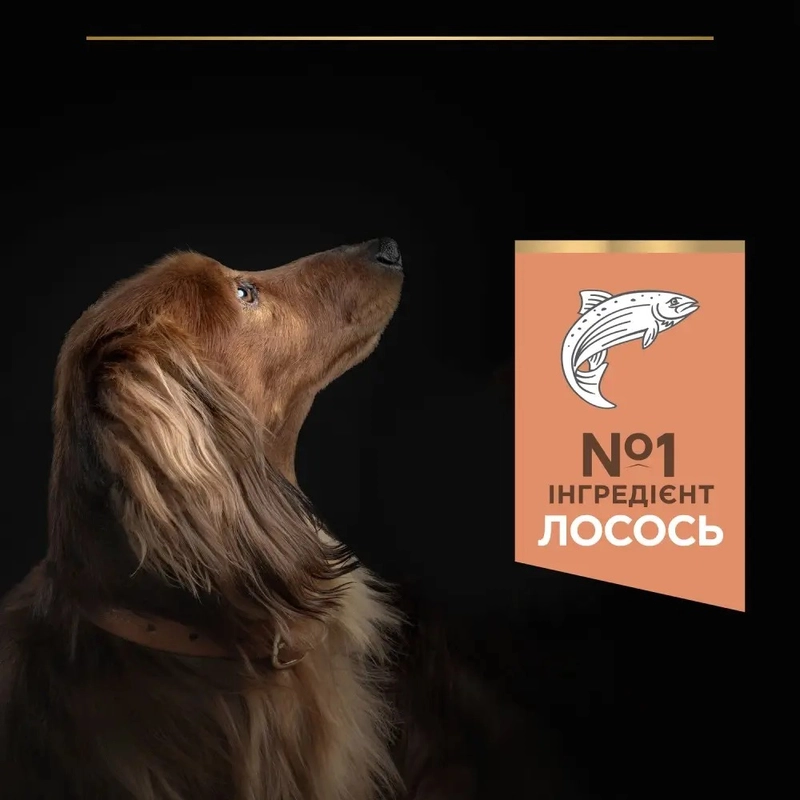 Purina Pro Plan SMALL & MINI SENSITIVE SKIN Salmon СУХИЙ КОРМ Супер-преміум собаки малих порід (з лососем) 7 кг  - фото 4