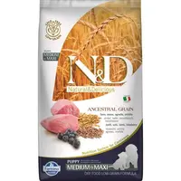 Farmina N&D Low Grain Lamb&Blueberry сухой корм для щенков средних и крупных пород 12 кг - с ягненком (8010276033727) 
