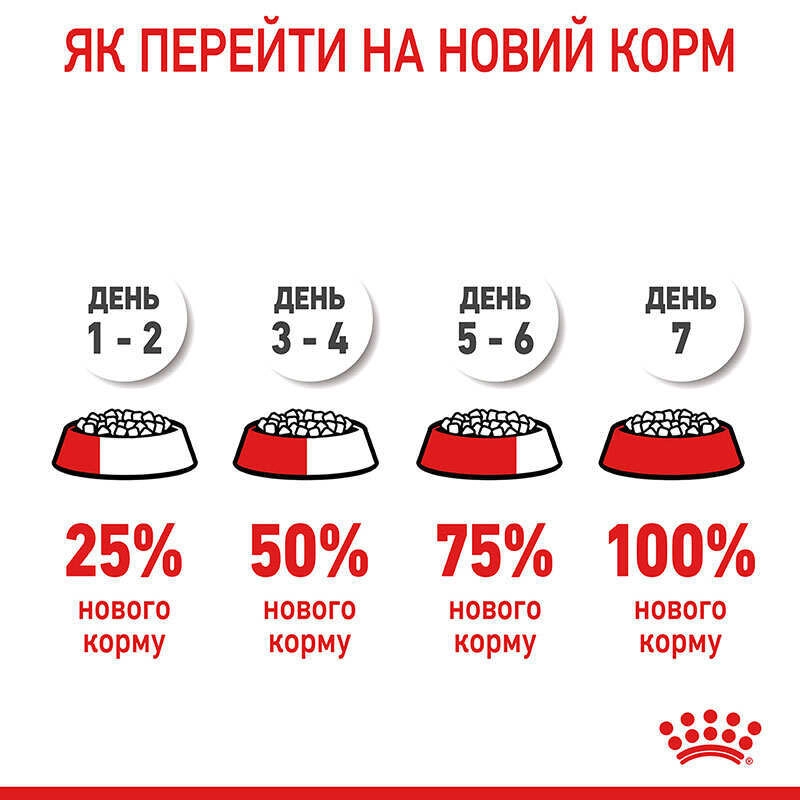 Royal Canin Hair&Skin Care сухий корм для котів для здоров'я шкіри та шерсті 400 г (3182550721721)  - фото 8