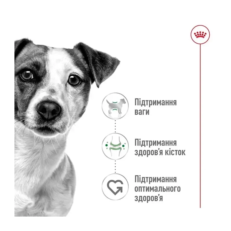 Royal Canin Mini Adult влажный корм для собак мелких пород 85 г (9003579008256)  - фото 1