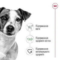 Royal Canin Mini Adult влажный корм для собак мелких пород 85 г (9003579008256)  - фото 1