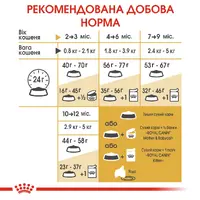 Royal Canin Kitten British Shorthair сухий корм для кошенят 400 г (3182550816526)  - фото 3