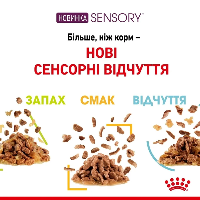 Royal Canin Sensory Taste Jelly влажный корм для привередливых кошек 85 г (9003579018910)  - фото 2