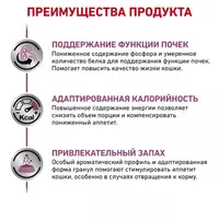 Royal Canin Renal Special СУХИЙ КОРМ Холістік коти (при захворюваннях нирок) 400 г  - фото 3