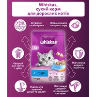Whiskas сухой корм для кошек 800 г - с тунцем (5900951305269)  - фото 1