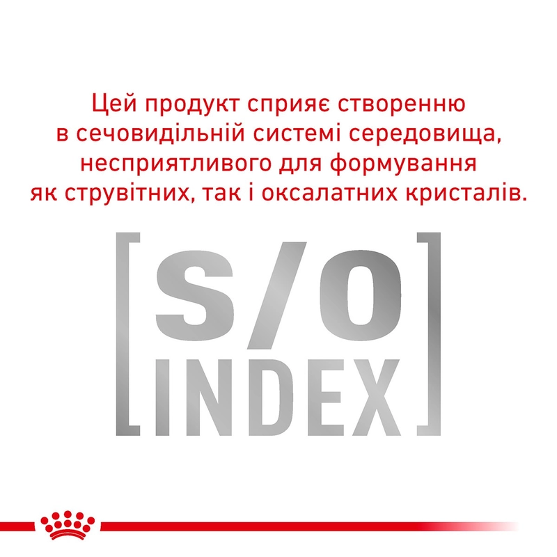 Royal Canin Skin&Coat ВОЛОГИЙ КОРМ Супер-преміум коти (для здоров'я шкіри та шерсті) 85 г  - фото 4