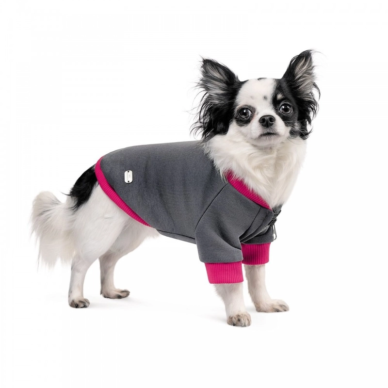 Pet Fashion Bim толстовка для собак M - сіра (4823082430314)  - фото 1