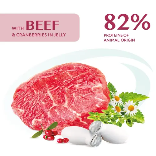 Optimeal Super Premium ADULT Beef & Cranberries ВОЛОГИЙ КОРМ Супер-преміум собаки (з яловичиною та журавлиною) 100 г