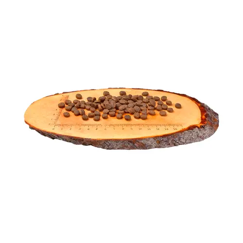 Carnilove Reindeer Adult СУХИЙ КОРМ Холістік коти (з олениною та кабаном) 400 г