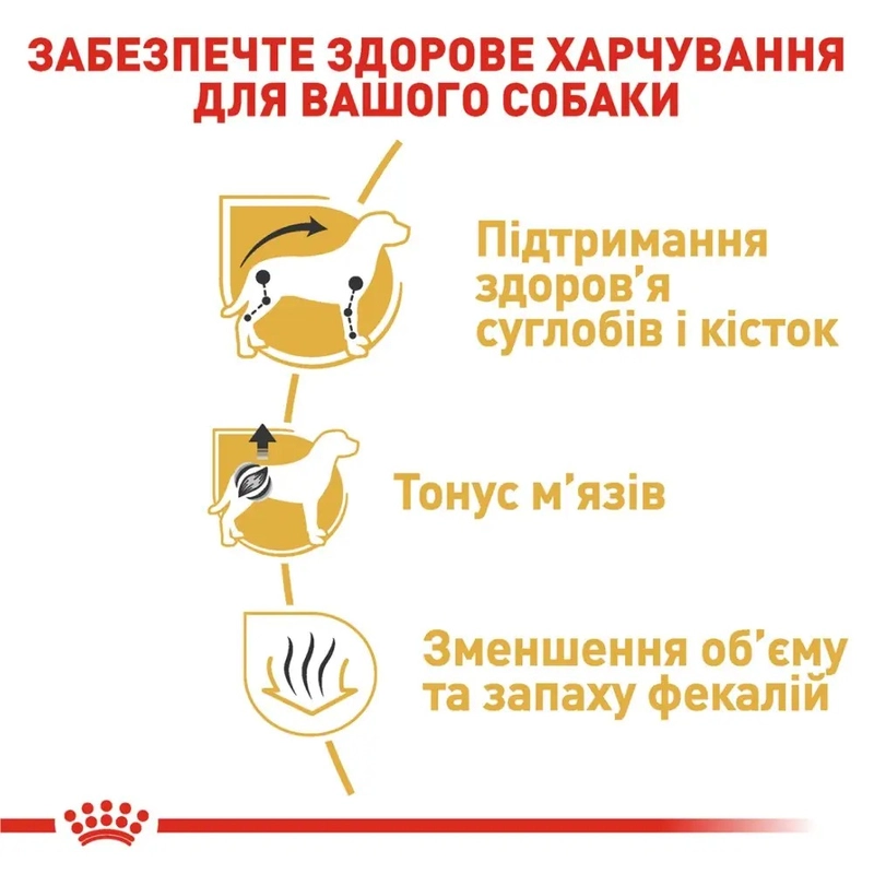 Royal Canin Dachshund Adult сухой корм для собак 1.5 кг (3182550717335)  - фото 1