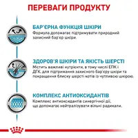 Royal Canin Skin&Coat ВОЛОГИЙ КОРМ Супер-преміум коти (для здоров'я шкіри та шерсті) 85 г  - фото 1