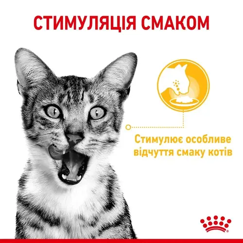 Royal Canin Sensory Taste Jelly ВОЛОГИЙ КОРМ Супер-преміум коти (вибагливі) 85 г
