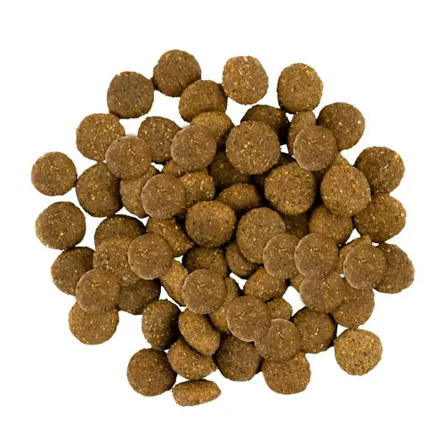 Savory Puppy Large Breed Fresh Turkey & Chiken СУХИЙ КОРМ Холістік цуценята великих порід (індичка та курка) 3 кг