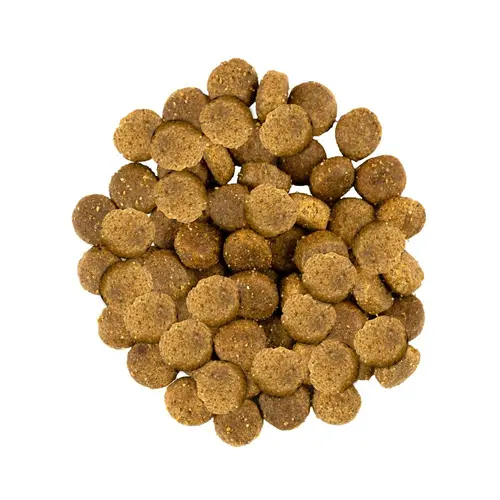 Savory ADULT Medium Breed Fresh Turkey & Lamb сухий корм для собак середніх порід 1 кг - зі свіжим ягням та індичкою(4820232630259)