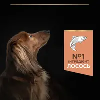 Purina Pro Plan Small & MINI ADULT 1+ Sensitive Skin сухой корм для собак малых пород 700 г - с лососем(7613035120808)  - фото 4