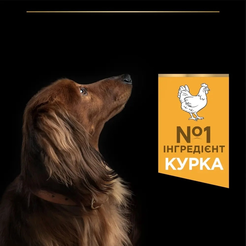 Purina Pro Plan Small & MINI ADULT Everyday Nutrition сухий корм для собак дрібних порід 700 г - з куркою (7613035120778)  - фото 1