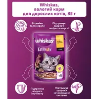 Whiskas TastyMix ВОЛОГИЙ КОРМ Преміум коти (з ягням та індичкою) 85 г  - фото 3