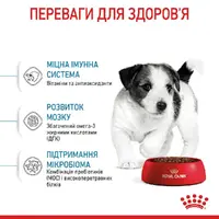 Royal Canin MINI Puppy сухой корм для щенков мелких пород 800 г (3182550792929)  - фото 1
