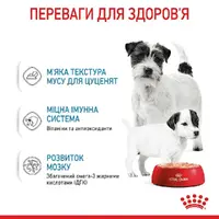 Royal Canin Starter Mousse CANS ВОЛОГИЙ КОРМ Супер-преміум собаки (з м'ясом) 195 г  - фото 1
