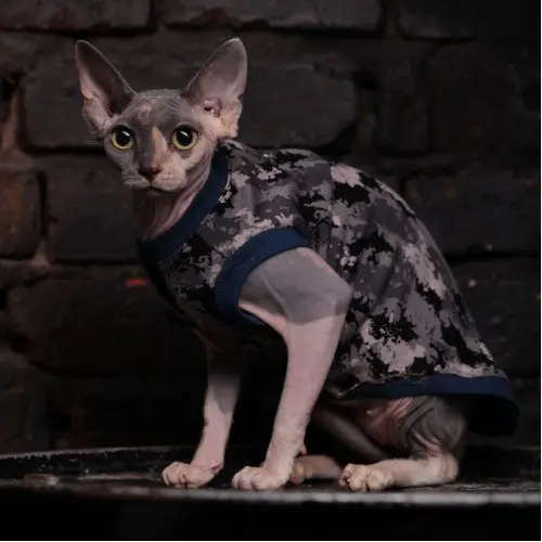 Style Pets Camo Blue майка для котів S - камуфляж з синім (2000000046914)
