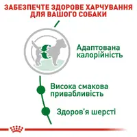 Royal Canin MINI ADULT S сухий корм для собак дрібних порід 2 кг (3182551055696)  - фото 1