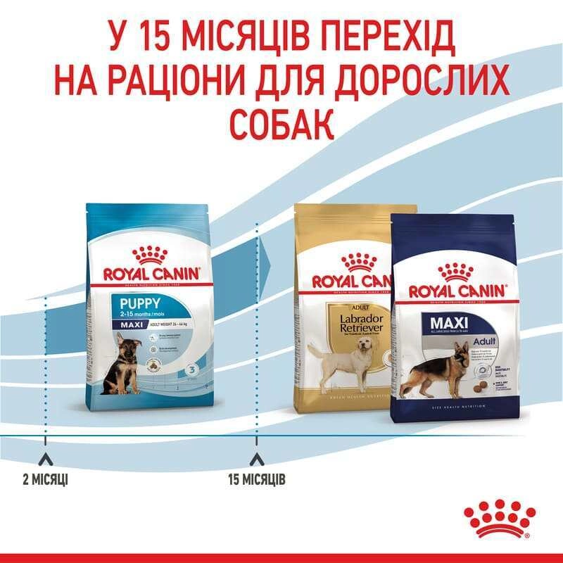 Royal Canin Maxi Puppy СУХИЙ КОРМ Супер-преміум цуценята великих порід (з м'ясом) 4 кг  - фото 4