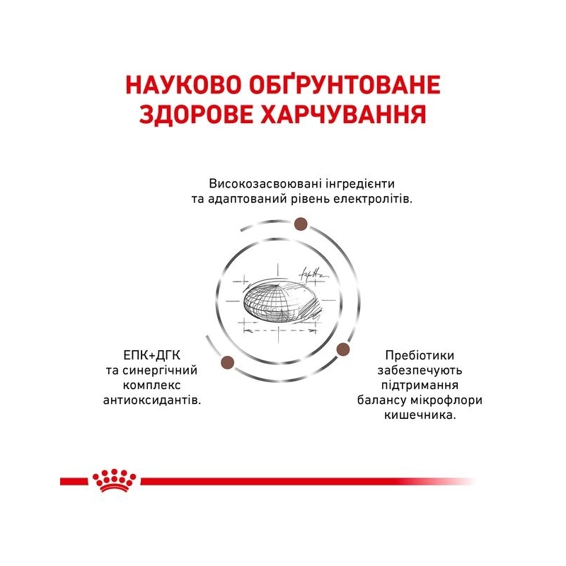 Royal Canin Gastrointestinal Fibre Response сухий корм для котів при розладах травлення 400 г (3182550771320)  - фото 2