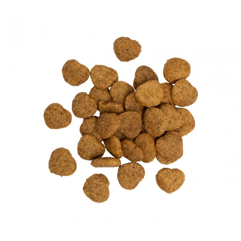 Savory Kitten Crunchy Snacks ЛАСОЩІ Холістік кошенята (для росту) 50 г  - фото 1