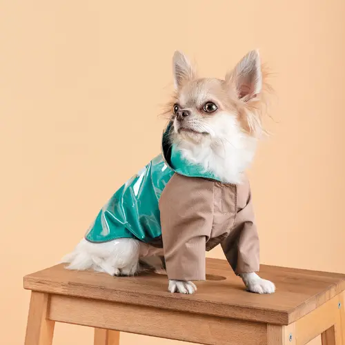 Pet Fashion Semmy дощовик для собак XS (4823082434497)