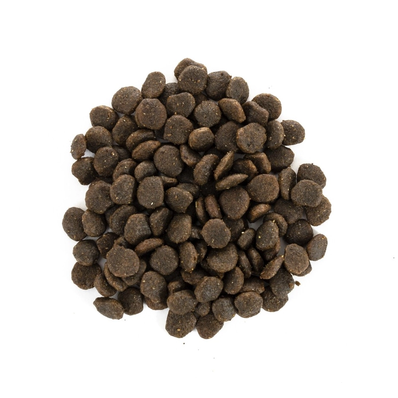 Brit Care Mini Grain-Free Yorkshire сухой корм для йоркширских терьеров 400 г - лосось и тунец (8595602520206)  - фото 2