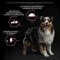 Purina Pro Plan Medium Adult Sensitive Skin сухой корм для собак средних пород с чувствительной кожей 14 кг - с лососем (7613035120464)  - фото 3