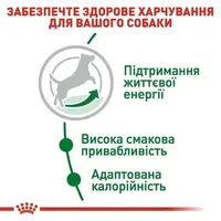 Royal Canin MINI ADULT 8+ СУХИЙ КОРМ Супер-преміум собаки дрібних порід (з куркою) 0.8 кг  - фото 3
