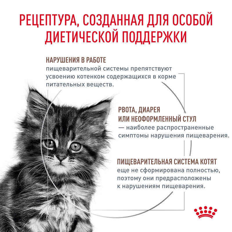 Royal Canin Gastrointestinal Kitten СУХИЙ КОРМ Холістік кошенята (при розладах травлення) 400 г  - фото 5