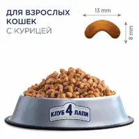 Club 4 Paws Premium сухой корм для кошек 300 г - с курицей (4820083909795)  - фото 1