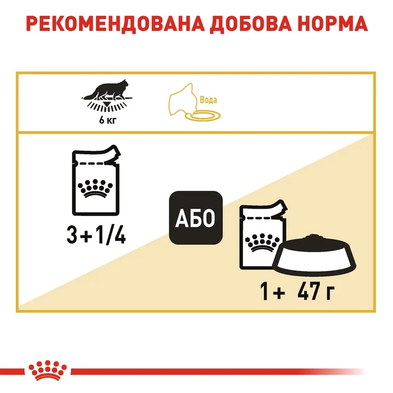 Royal Canin Mainecoon Adult влажный корм для кошек 85 г (9003579001219)  - фото 4