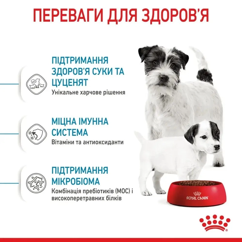 Royal Canin MINI STARTER сухой корм для щенков мелких пород 1 кг(3182550778657)  - фото 3