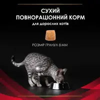 Purina Pro Plan Veterinary Diets DM Diabetes Management СУХИЙ КОРМ Холістік коти (при цукровому діабеті) 1.5 кг  - фото 1
