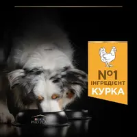 Purina Pro Plan Medium ADULT 1+ Everyday Nutrition СУХИЙ КОРМ Супер-преміум собаки середніх порід (з куркою) 3 кг  - фото 2