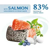 Optimeal Super Premium ADULT Salmon & Blueberries ВОЛОГИЙ КОРМ Супер-преміум собаки (з лососем та лохиною) 100 г  - фото 1