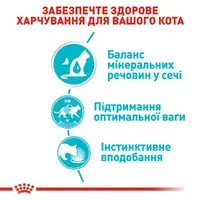 Royal Canin Urinary Care влажный корм для кошек для поддержки здоровья мочевыводящей системы 85 г (9003579000366)  - фото 1