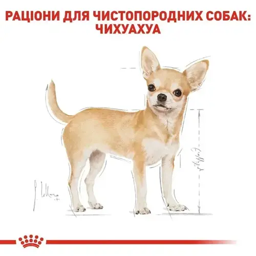 Royal Canin Chihuahua ADULT ВОЛОГИЙ КОРМ Супер-преміум собаки породи чихуахуа (з м'ясом) 85 г