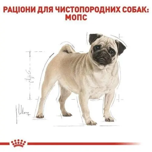 Royal Canin PUG ADULT сухий корм для дорослих собак породи мопс 1.5 кг(3182550752404)