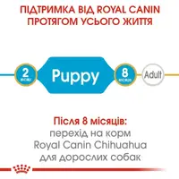 Royal Canin Chihuahua Puppy сухий корм для цуценят породи чихуахуа 500 г (3182550722537)  - фото 2