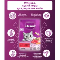 Whiskas сухий корм для котів 800 г - з яловичиною (5998749144145)  - фото 1