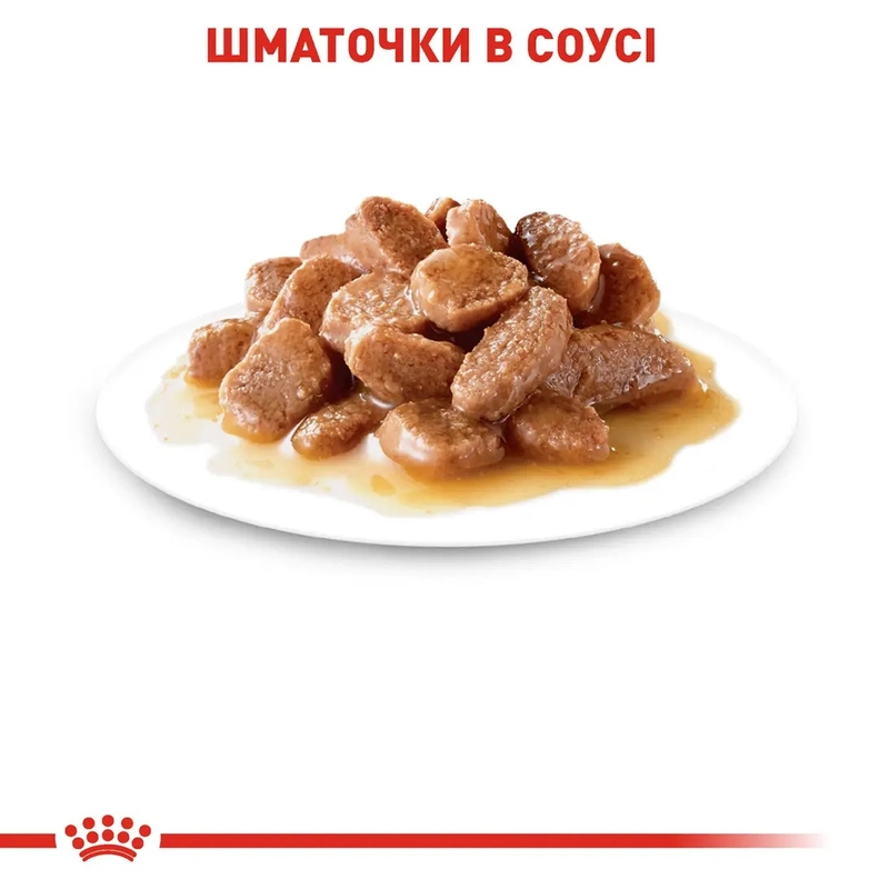 Royal Canin Digest Sensitive ВОЛОГИЙ КОРМ Супер-преміум коти (з чутливим травленням) 85 г  - фото 2