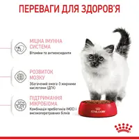 Royal Canin Kitten сухий корм для кошенят 400 г (3182550702379)  - фото 3