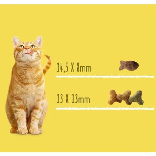 Friskies СУХИЙ КОРМ Економ коти (з лососем та овочами) 300 г