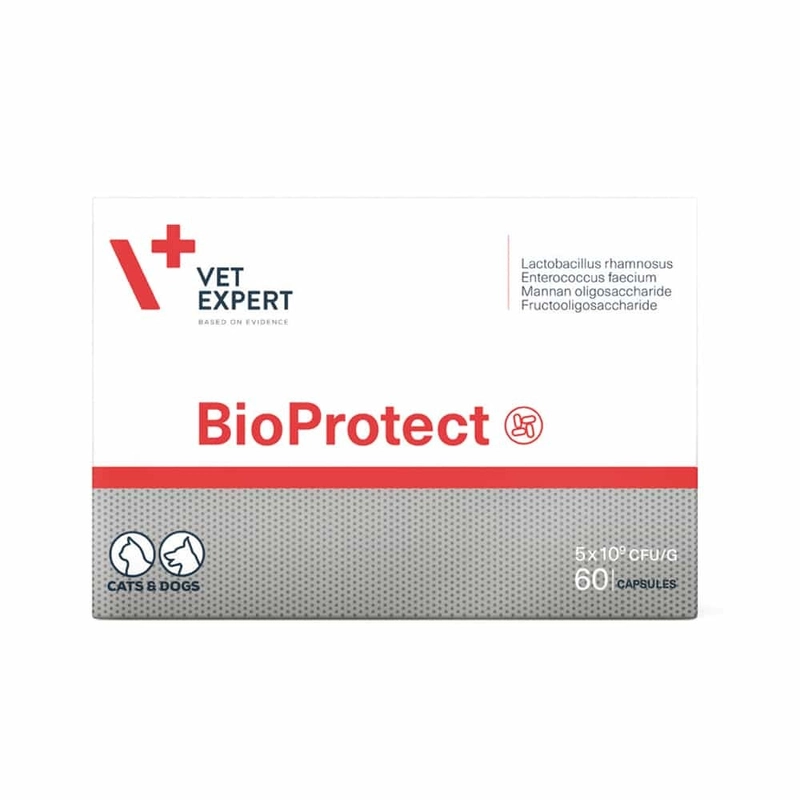 Vet Expert BioProtect харчова добавка для котів та собак 1 капсула - від порушень шлунково-кишкової мікрофлори (5907752658440) 