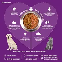 Gemon Cat Adult Complete сухий корм для котів 400 г - з куркою та індичкою (8009470297004)  - фото 4